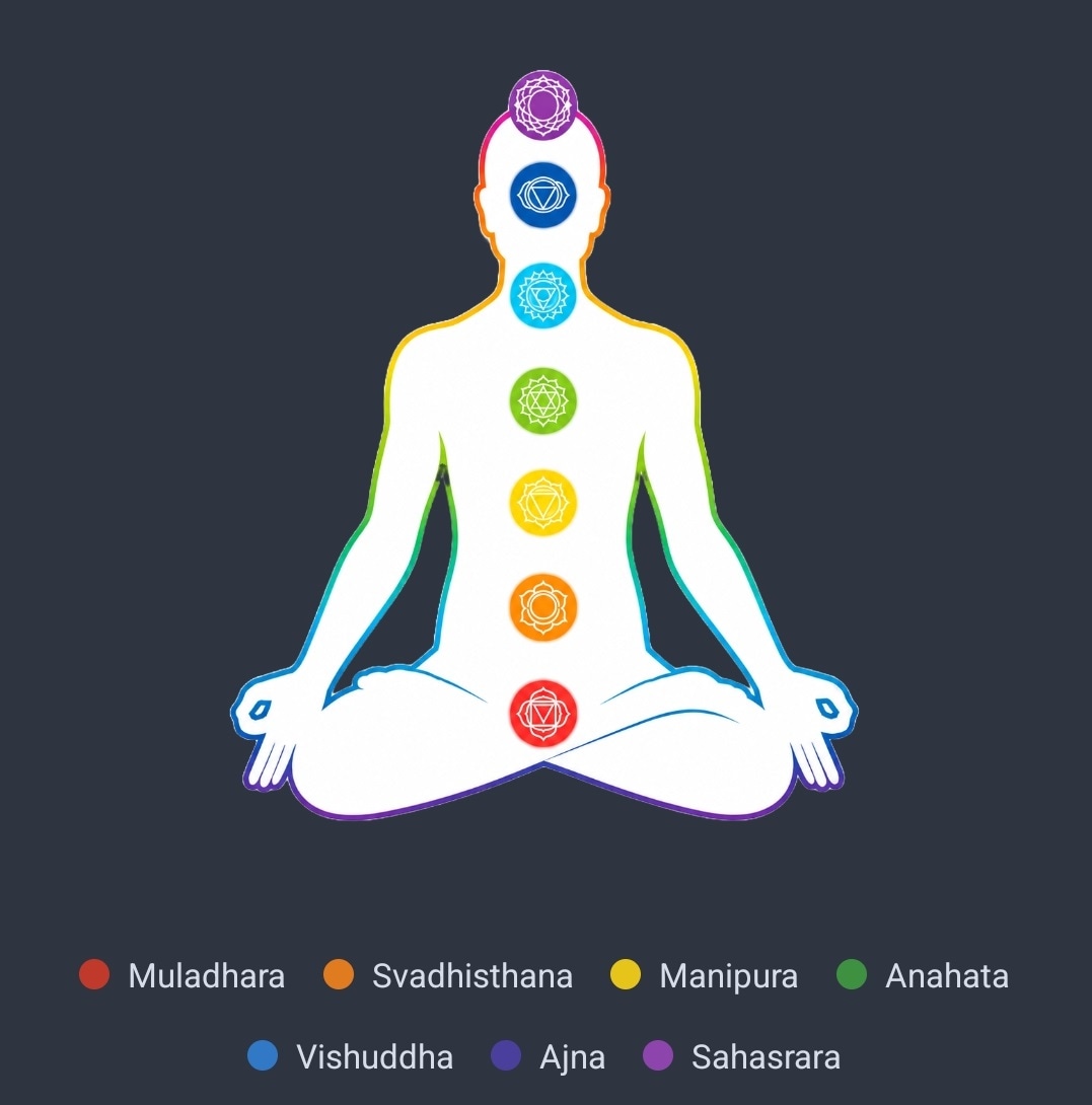 The Seven Chakras diagram from the app